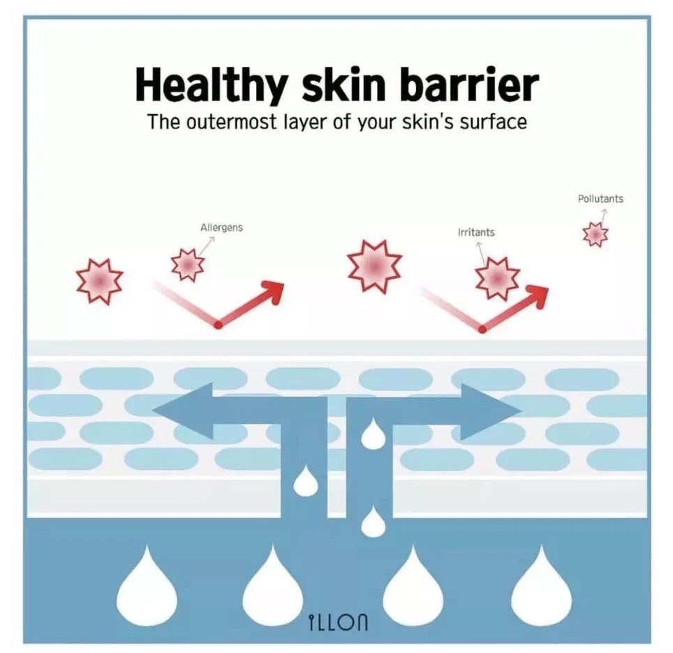 角质层增厚了皮肤好了,角质层健康