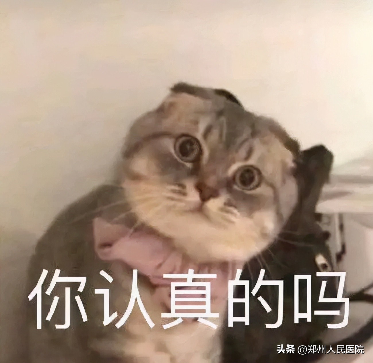 子宫切除又有东西脱落是啥,子宫切除后发现有个蛋状的东西