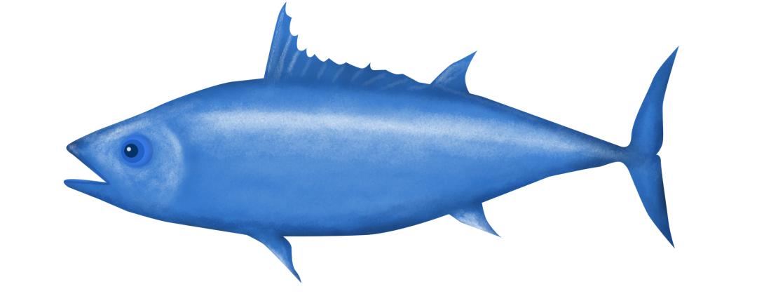 PCI术后护理要点,pci术后护理培训小结