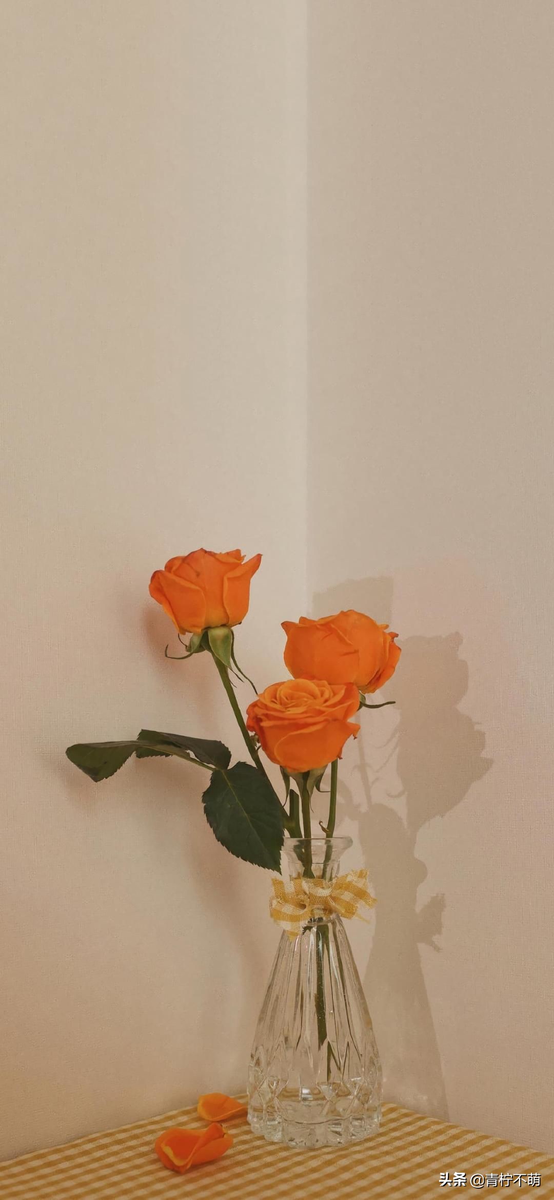 苹果13原装高清壁纸4k全屏无水印,4k超清壁纸1080p无水印全屏苹果