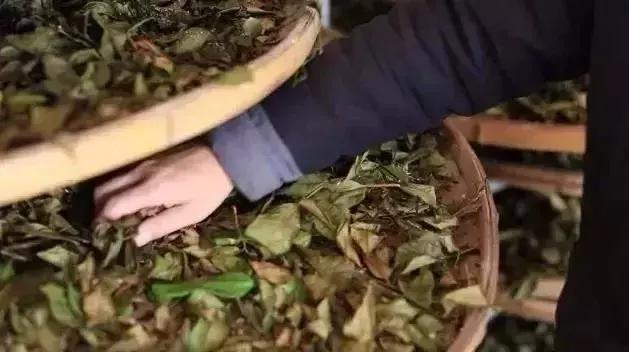 爱茶之人必去的九大茶区,爱茶之人九大茶区