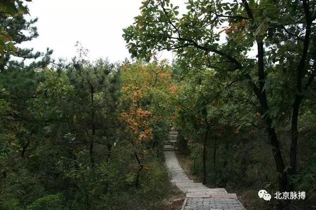 画说回龙观,北京最漂亮的森林公园