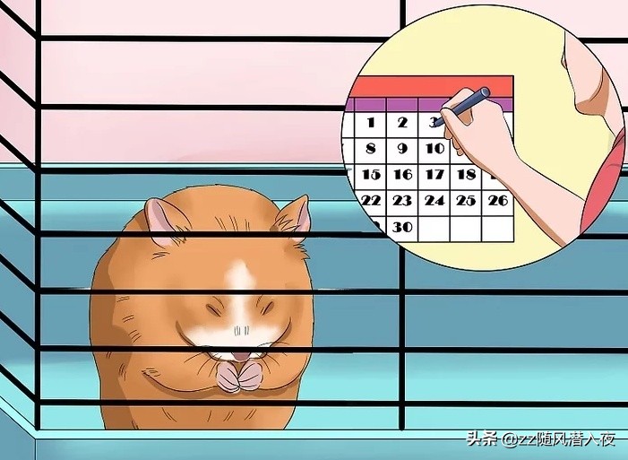 如何获得小仓鼠的信任,如何让小仓鼠信任你