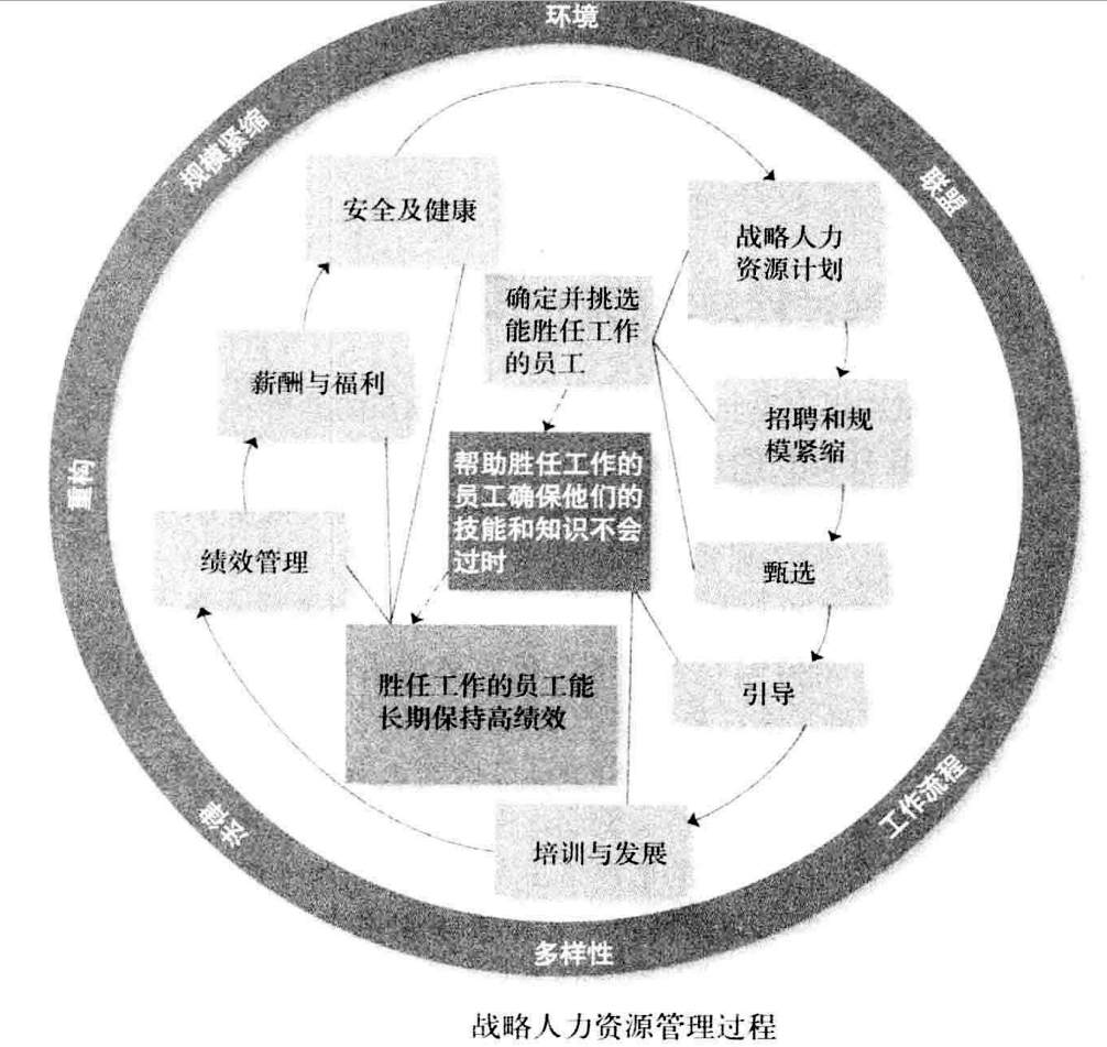 从零开始读懂管理学,管理学怎么讲