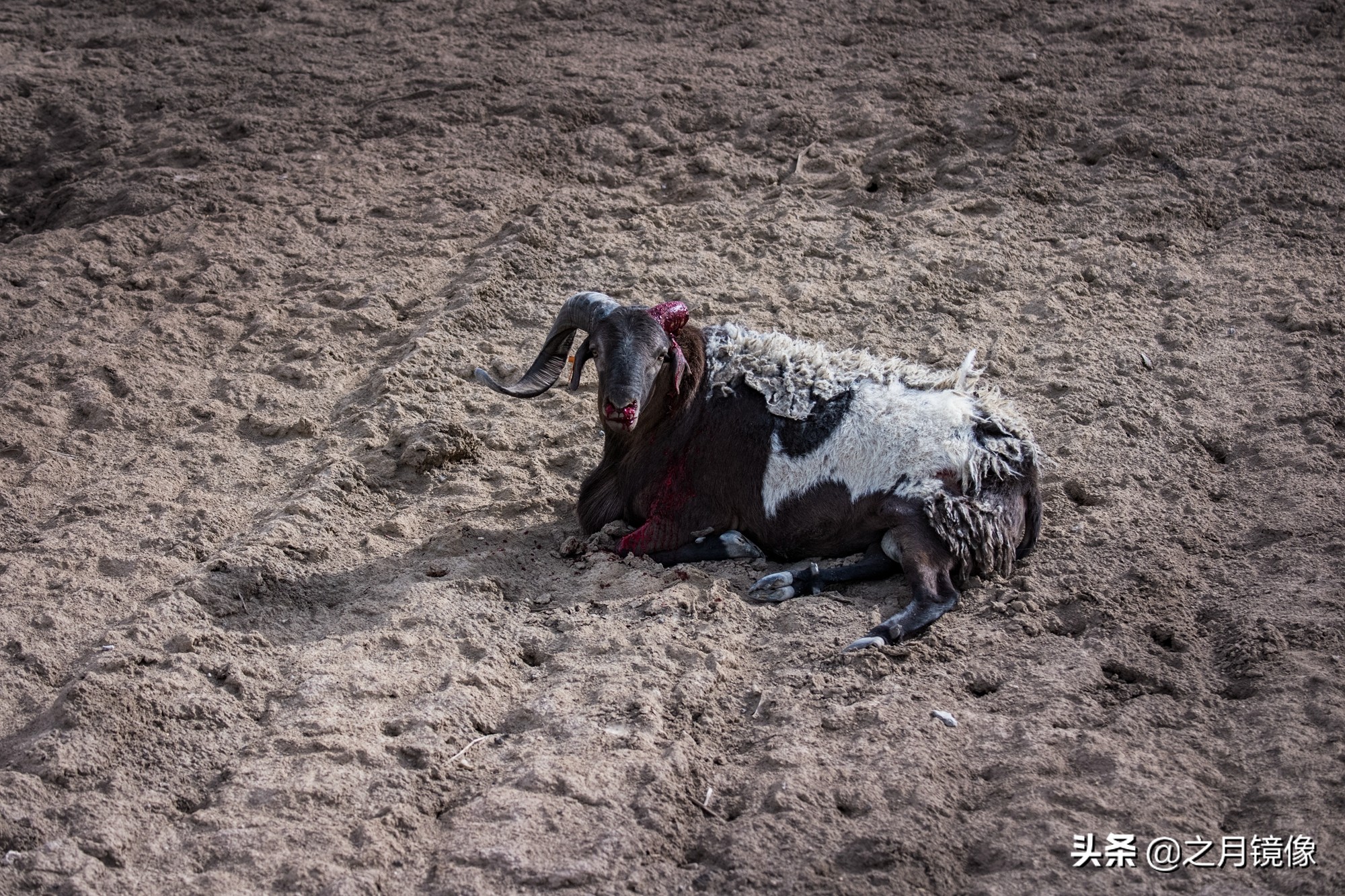 大柴达木湖和大柴旦翡翠湖,大柴旦翡翠湖在柴达木盆地