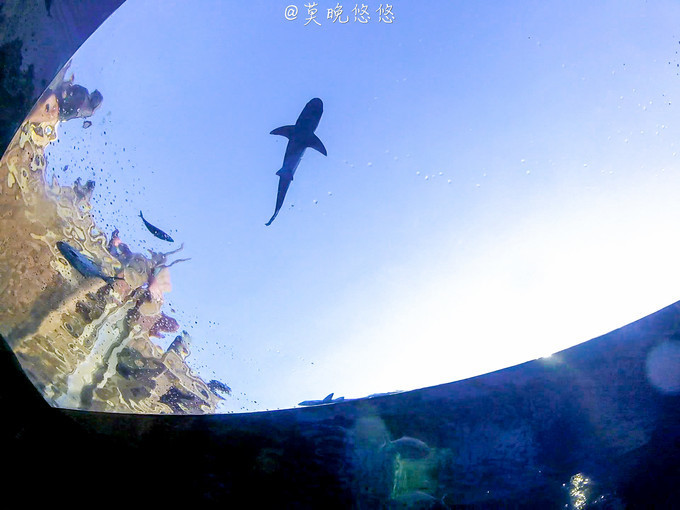 七星级酒店亚特兰蒂斯,三亚七星级酒店亚特兰蒂斯门票