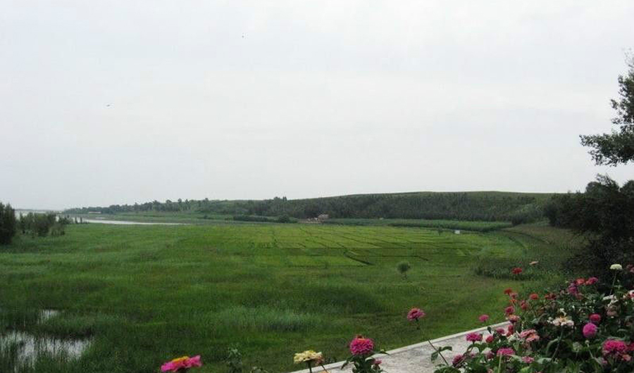 吉林和松原哪个能成为第二大城市,吉林松原在吉林省排名