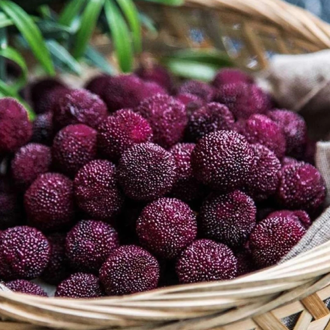 一听到菠萝就酸,盘点那些能让你疯狂流口水的水果