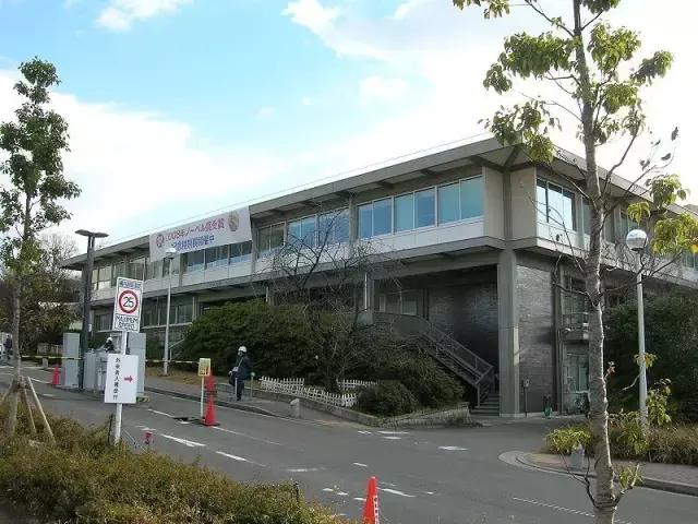 日本科学家获诺贝尔奖治疗癌症,日本有几个物理学家获诺奖