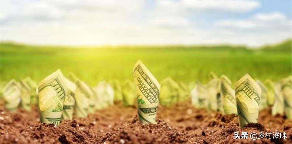 农民工在农村创业门路上干什么活,务工致富