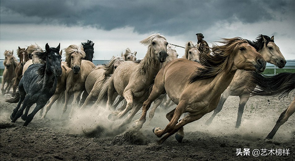 摄影家张明友：把“蒙古马精神”传播到全世界