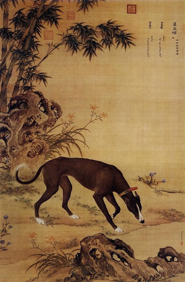 养了一只哮天犬,哮天犬是一条好狗吗
