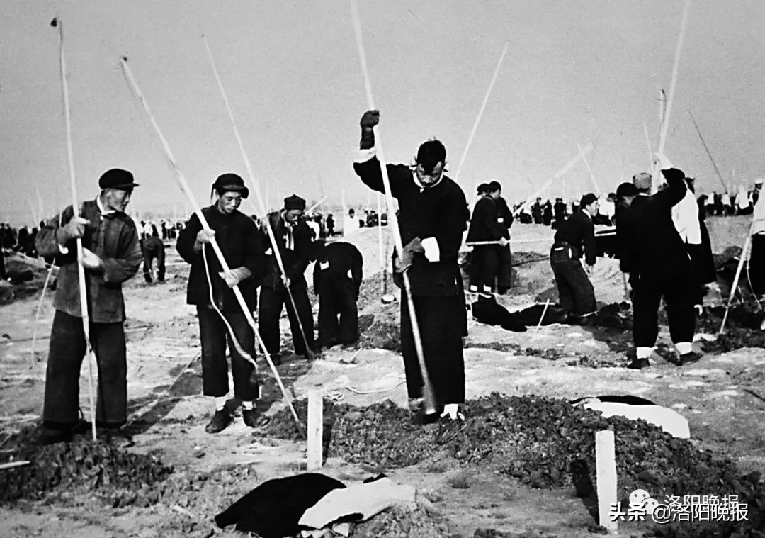 一分钟看河南洛阳,一日看遍洛阳