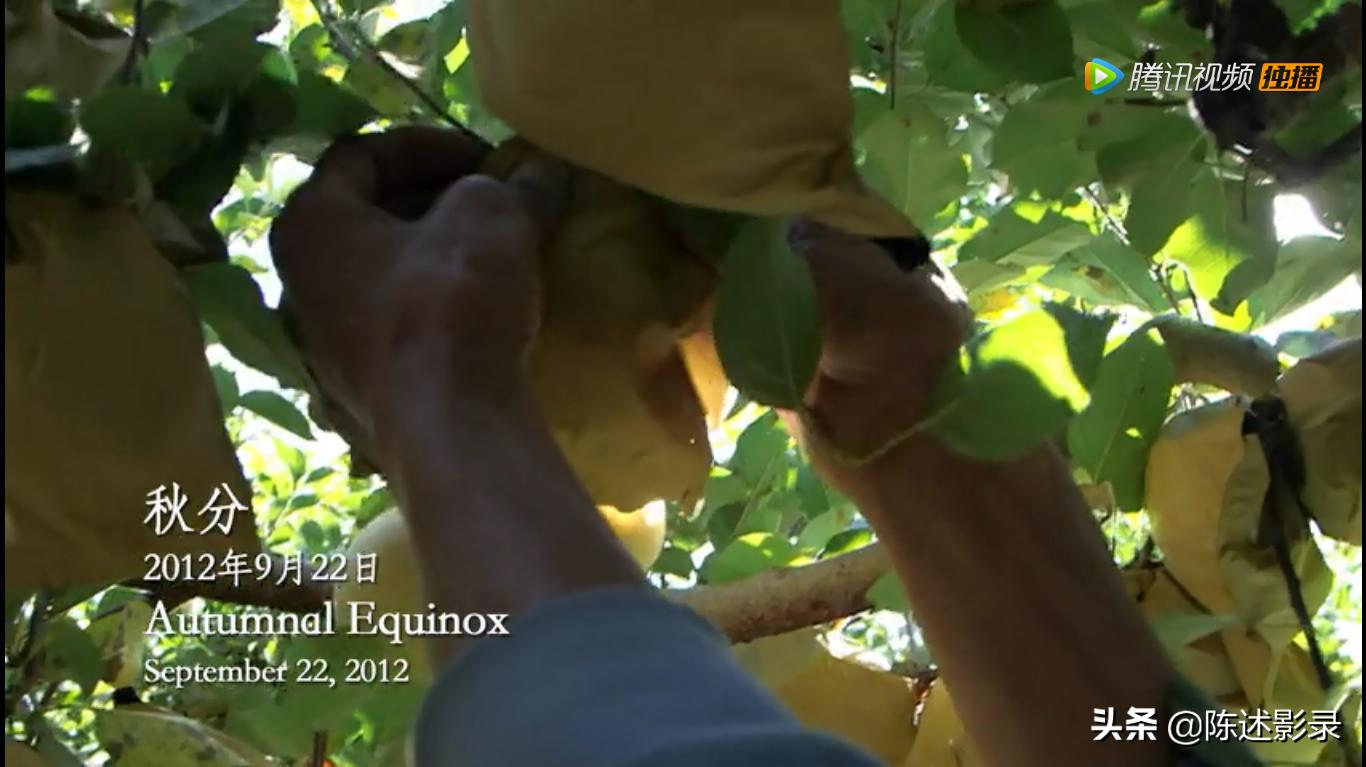 打工是用自己的牛耕别人的田,打工就像拿肉换猪肉吃
