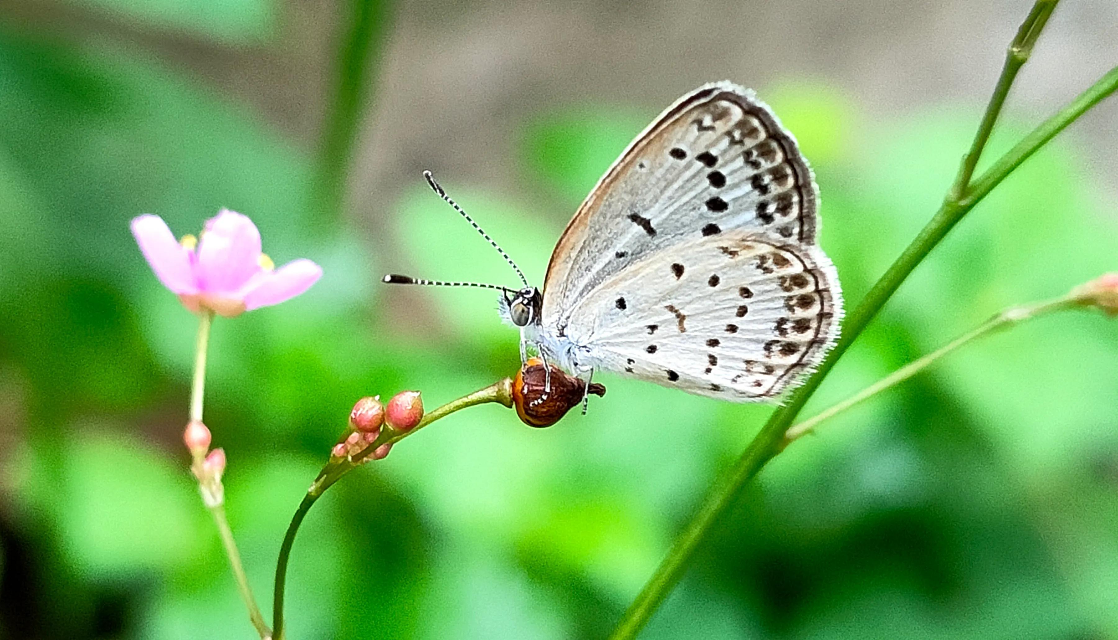 手拍世界投稿,手拍世界作品专集