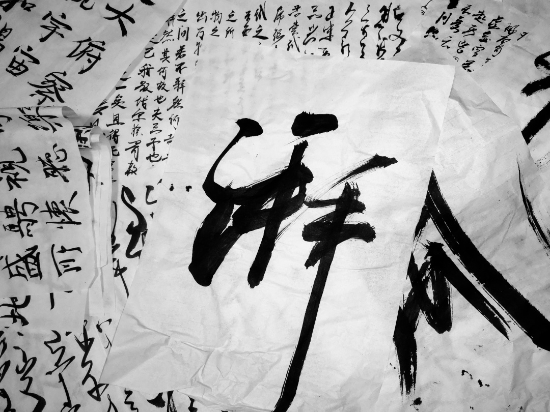 在森林里书籍,在森林中生活