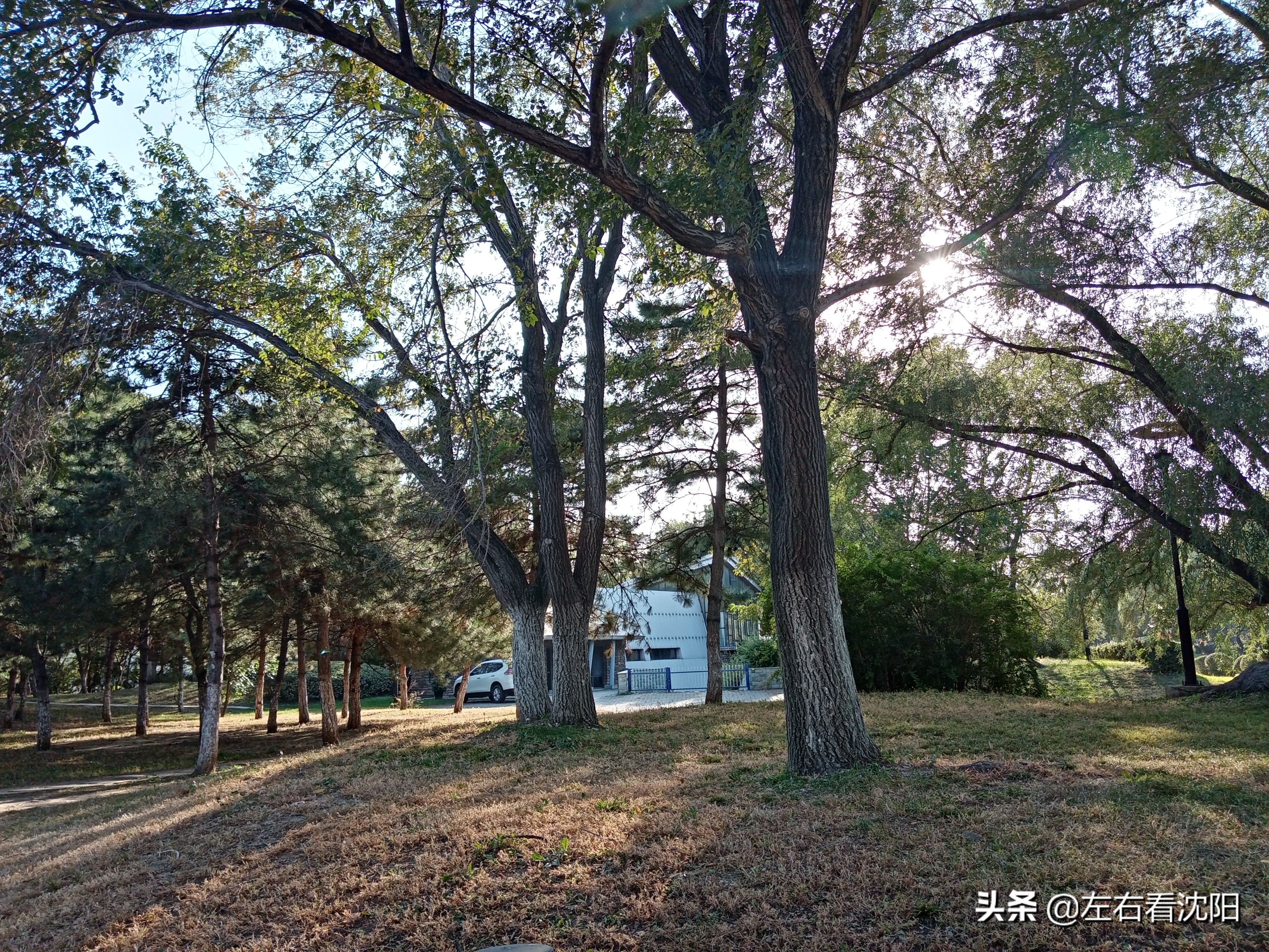 沈阳沈水湾公园看日出,沈阳浑河看海的地方