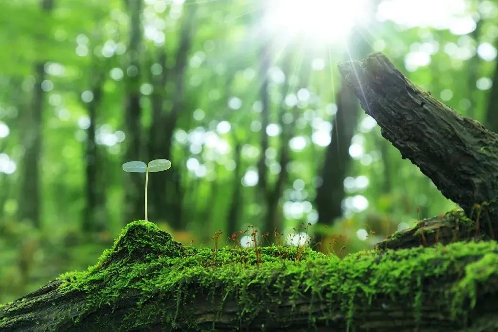 俞云切脉针灸是真是假,俞云切脉针灸视频完整版