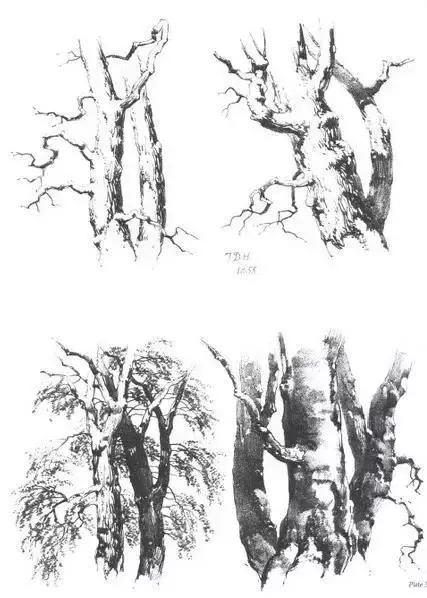 中学生20分钟风景速写临摹图片,速写风景怎么画得又快又好