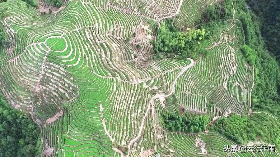 八天七夜云南旅游,八天七夜旅游云南