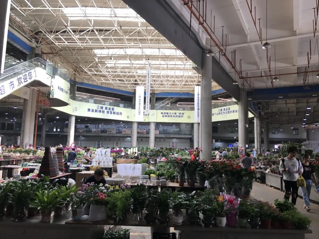 花店鲜花价格表大全,花店鲜花种类及价格表