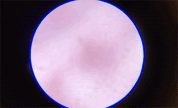 儿童科学30000倍显微镜,儿童电子显微镜真的1000倍