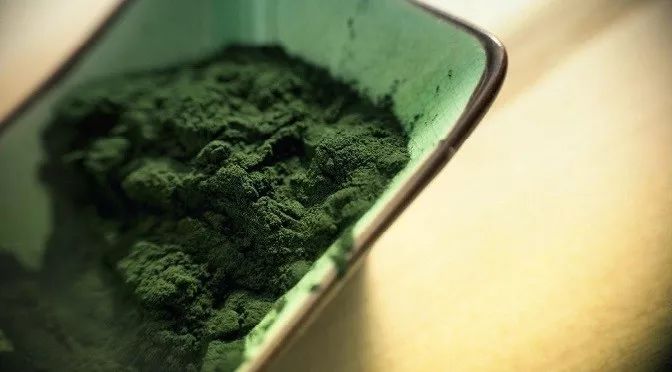 吃海藻类食物有什么好处,吃海藻芽的好处