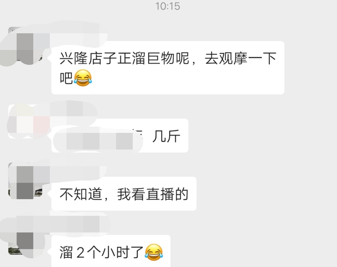 1.5号尼龙通线遛鱼6小时！巨鲤上岸的背后，明白前打竿的野钓优势