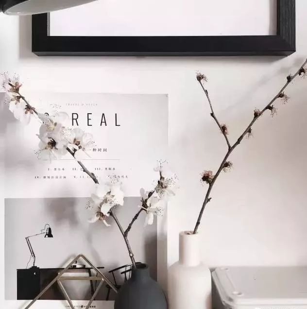 插花花材的固定技巧,三种花材插花教程新手入门