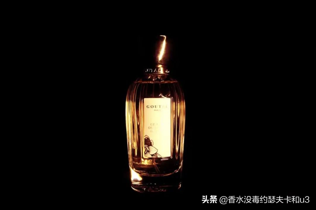 葡萄果香香水推荐,红酒玫瑰香水