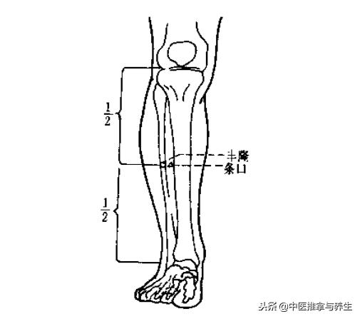 体内水湿怎么去除？按揉穴位即可解决！