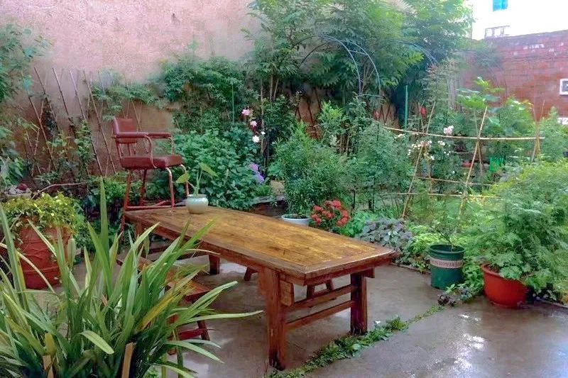 江阴最美院子图片,无锡江阴最美院子