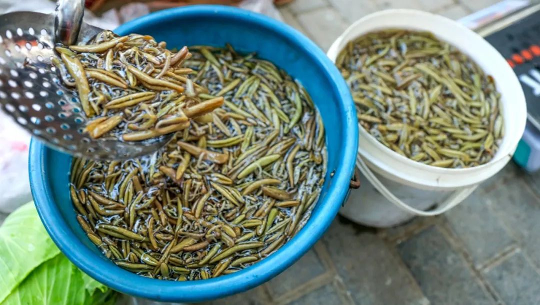 康养之城,康养之城图