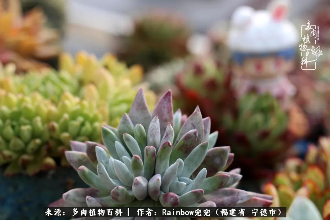 岁月无波澜余生不悲欢是啥意思,愿你岁月无波澜敬我余生无悲欢