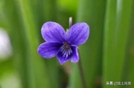 倾情托起未来的蓝天——启迪心智幼儿园的一节课
