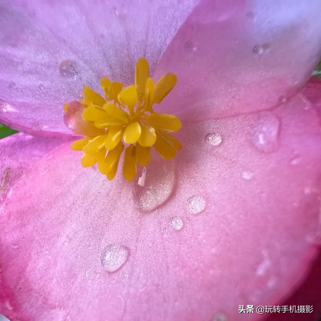 iphone13系列拍照评测,iphone13系列评测