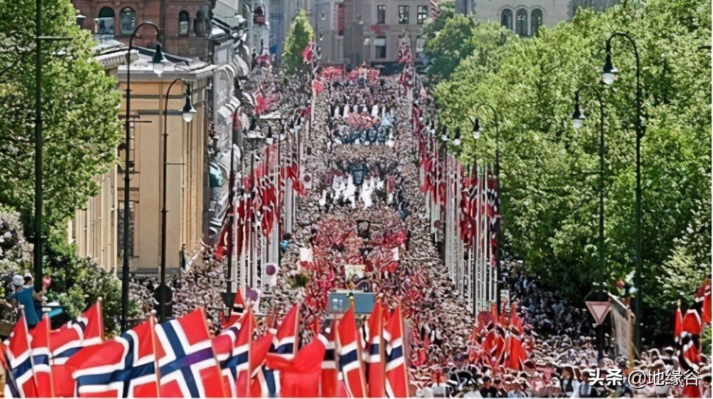 挪威入欧申请书,挪威申请入欧