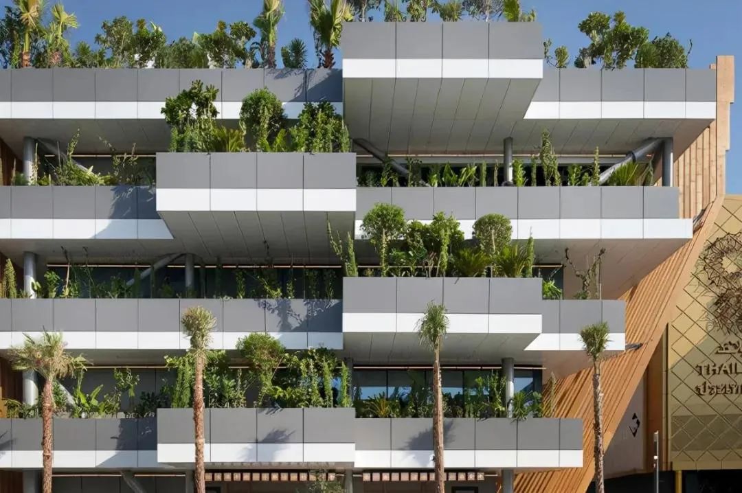 迪拜世博会中国馆正式试运营,迪拜世博会各国展馆建筑抢先看