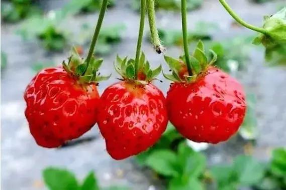 京郊好玩的,京郊最值得旅游的地方