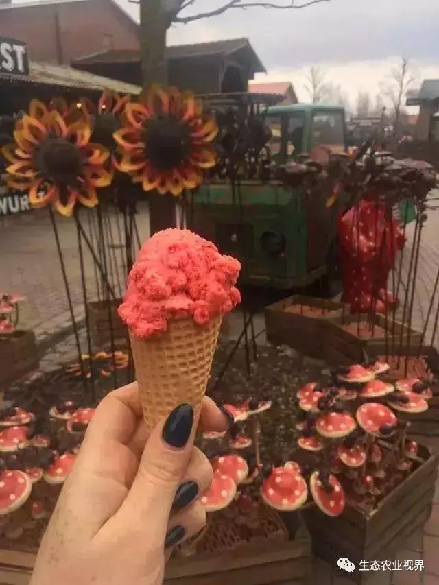 用一颗草莓吸引5百万游客,开5家主题乐园、4家超市、300个草莓屋