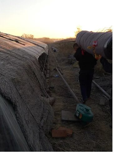 鑺辨埧濮戝澶氳倝閰嶅湡,鑺辨埧濮戝鐜夐湶澶氳倝