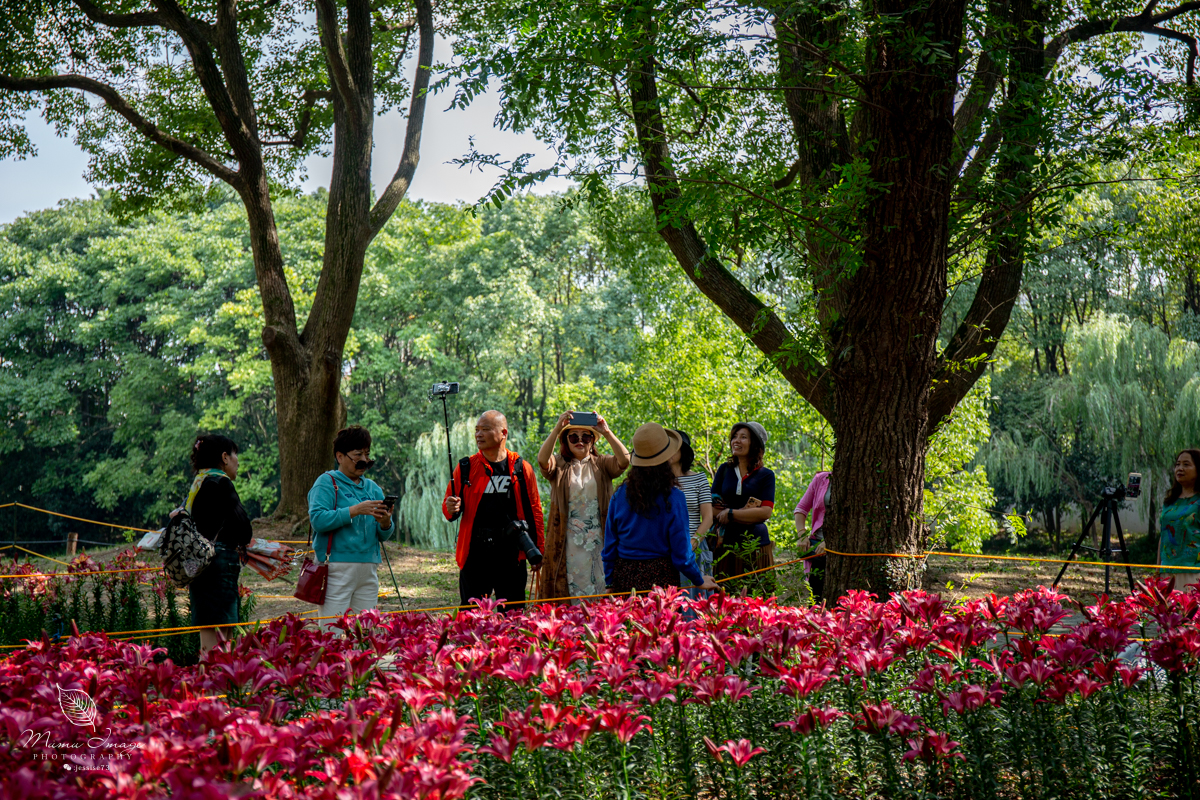 江南百年园林,江南私家园林所蕴含的人文情怀