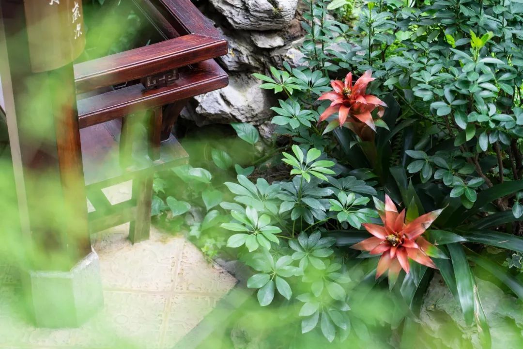 索尼fe24-105mmf4goss价格,索尼fe24-105mmf4能在尼康上用吗