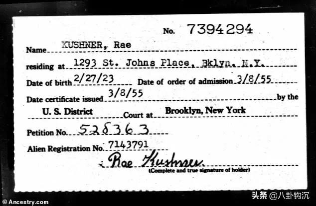 特朗普女婿库什纳与布隆伯格,特朗普大女婿库什纳家族