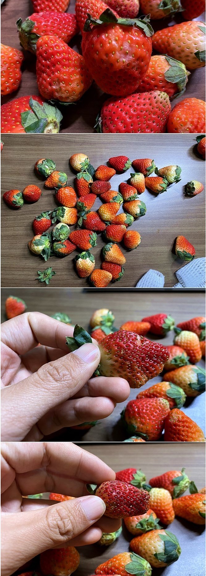 如何在网上买到真草莓,怎么在网上买正宗丹东草莓