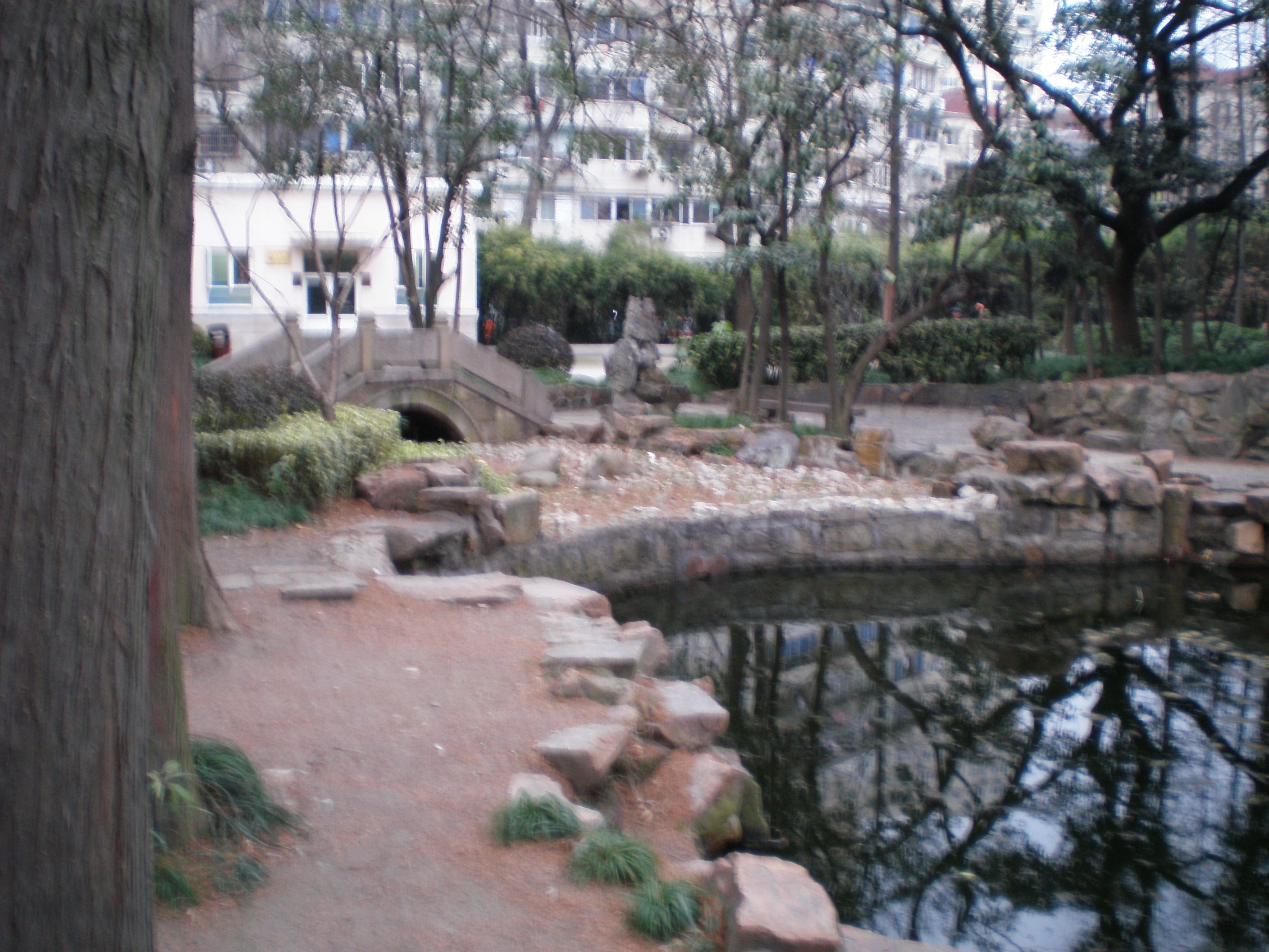 租界公园、跑狗场、卷烟厂，这条马路“活化石”太多