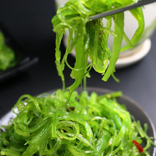 海带和裙带菜是一样的吗,海带和裙带菜有区别吗