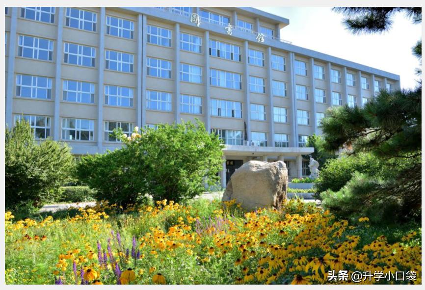 吉林大学哪些专业的深造率较高?这13个专业,深造率超过50%