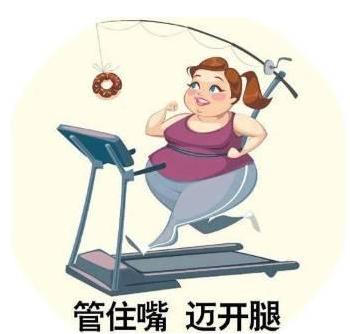 生活方式干预门诊是什么门诊,pcos患者首选方案