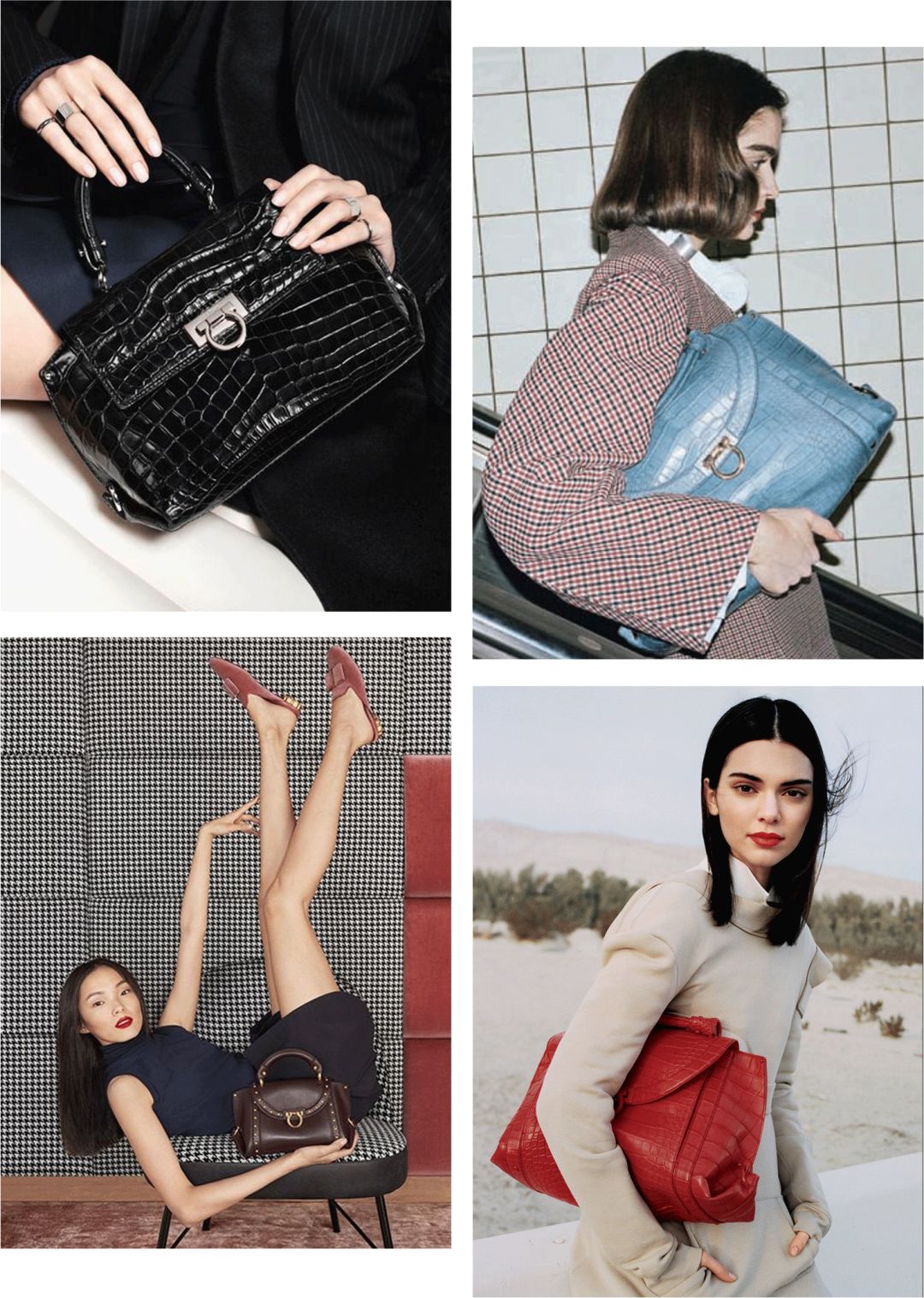 除了苏家和凌家还有什么家,除了苏家还有哪个家族